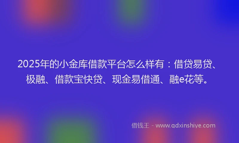 2025年的小金库借款平台怎么样有：借贷易贷、极融、借款宝快贷、现金易借通、融e花等。