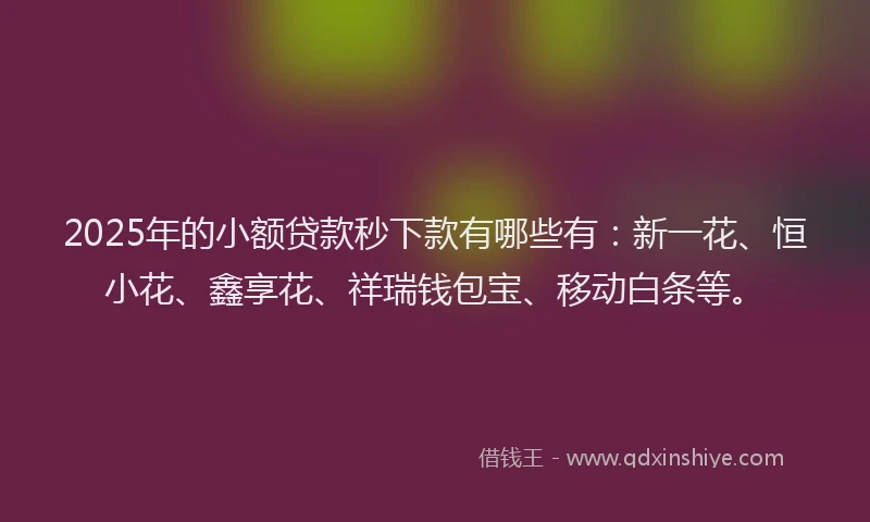 2025年的小额贷款秒下款有哪些有：新一花、恒小花、鑫享花、祥瑞钱包宝、移动白条等。