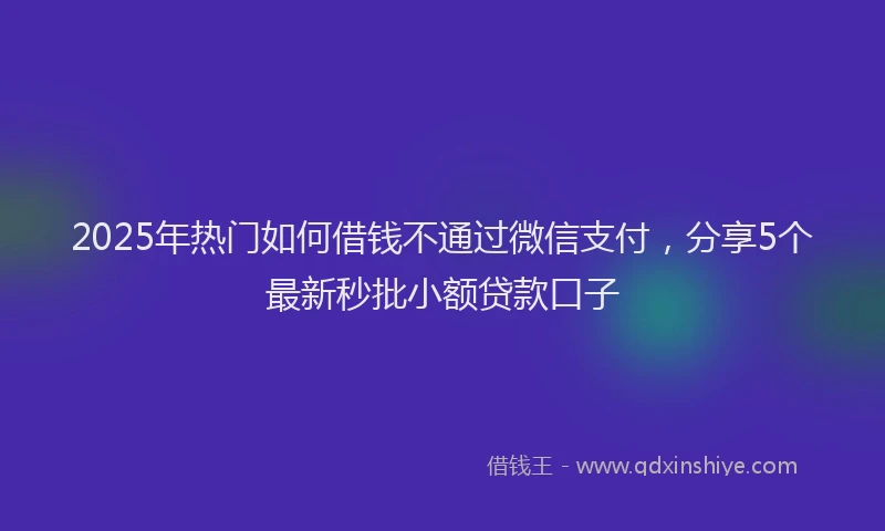2025年热门如何借钱不通过微信支付，分享5个最新秒批小额贷款口子