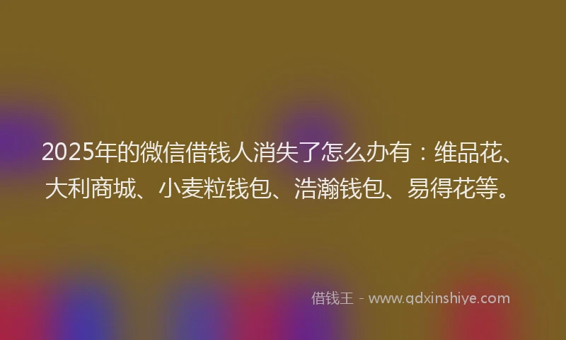 2025年的微信借钱人消失了怎么办有：维品花、大利商城、小麦粒钱包、浩瀚钱包、易得花等。