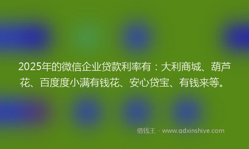 2025年的微信企业贷款利率有：大利商城、葫芦花、百度度小满有钱花、安心贷宝、有钱来等。