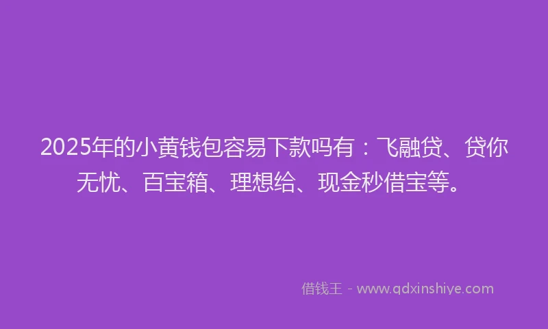 2025年的小黄钱包容易下款吗有：飞融贷、贷你无忧、百宝箱、理想给、现金秒借宝等。