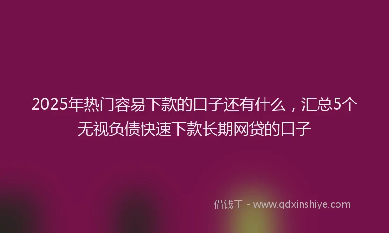 2025年热门容易下款的口子还有什么，汇总5个无视负债快速下款长期网贷的口子