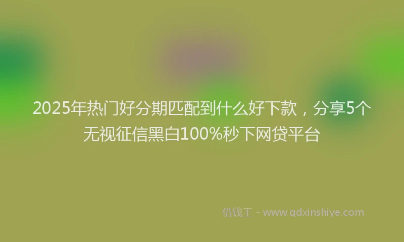 2025年热门好分期匹配到什么好下款，分享5个无视征信黑白100%秒下网贷平台