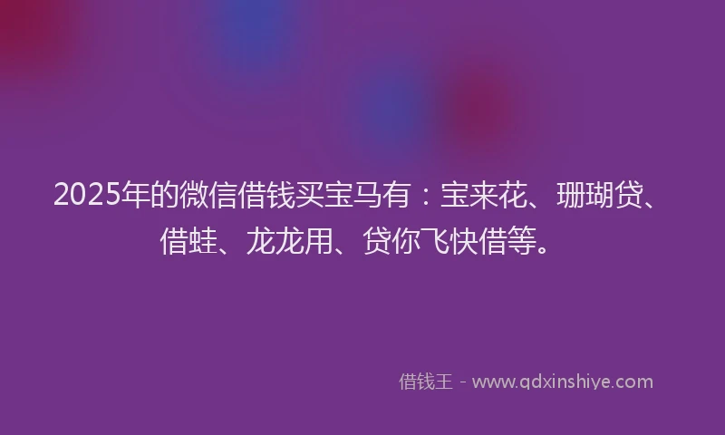 2025年的微信借钱买宝马有：宝来花、珊瑚贷、借蛙、龙龙用、贷你飞快借等。