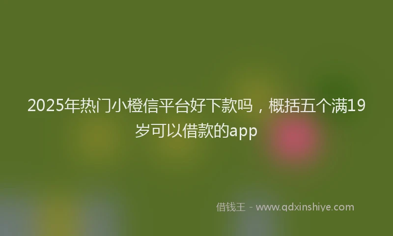 2025年热门小橙信平台好下款吗，概括五个满19岁可以借款的app