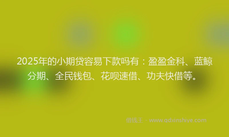 2025年的小期贷容易下款吗有：盈盈金科、蓝鲸分期、全民钱包、花呗速借、功夫快借等。