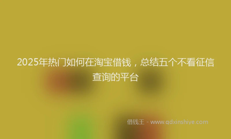 2025年热门如何在淘宝借钱，总结五个不看征信查询的平台