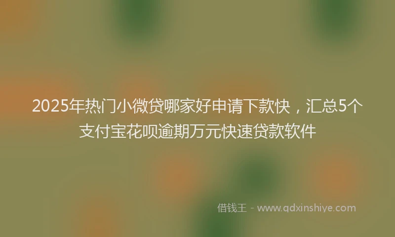 2025年热门小微贷哪家好申请下款快，汇总5个支付宝花呗逾期万元快速贷款软件