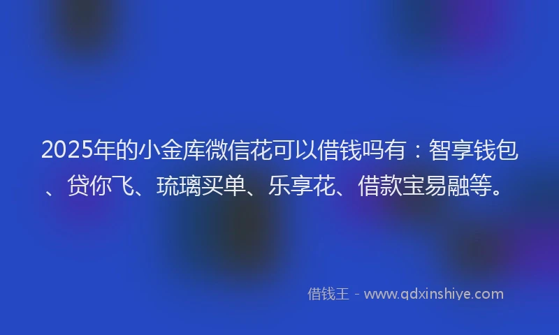 2025年的小金库微信花可以借钱吗有：智享钱包、贷你飞、琉璃买单、乐享花、借款宝易融等。