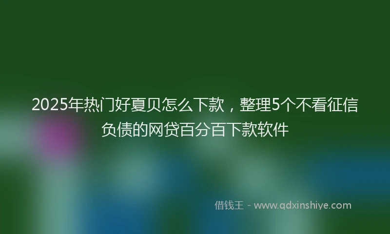 2025年热门好夏贝怎么下款，整理5个不看征信负债的网贷百分百下款软件