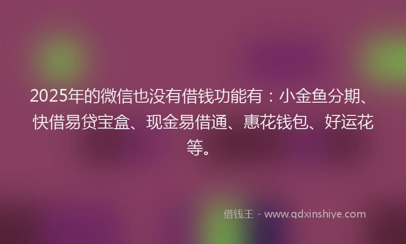 2025年的微信也没有借钱功能有：小金鱼分期、快借易贷宝盒、现金易借通、惠花钱包、好运花等。