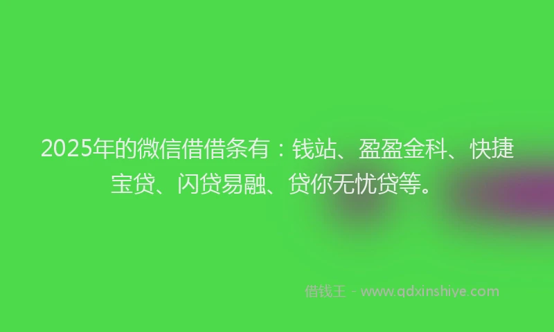 2025年的微信借借条有：钱站、盈盈金科、快捷宝贷、闪贷易融、贷你无忧贷等。