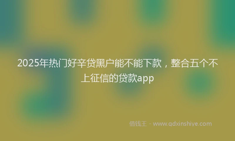 2025年热门好辛贷黑户能不能下款，整合五个不上征信的贷款app