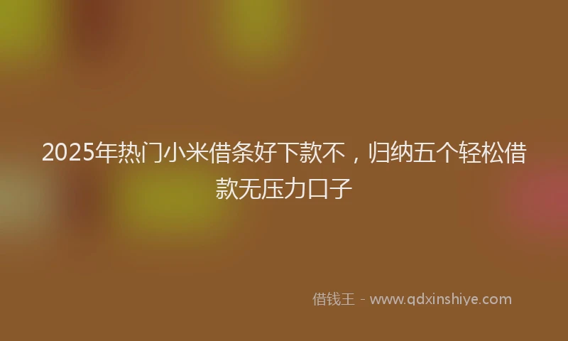 2025年热门小米借条好下款不，归纳五个轻松借款无压力口子