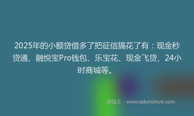2025年的小额贷借多了把征信搞花了有：现金秒贷通、融悦宝Pro钱包、乐宝花、现金飞贷、24小时商城等。