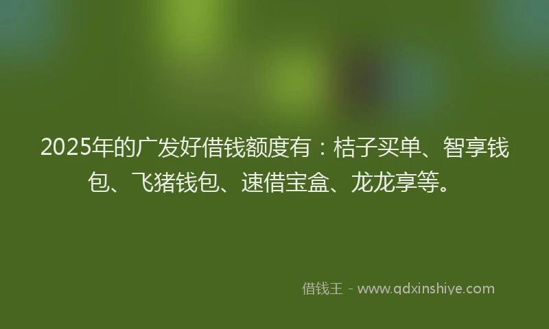 2025年的广发好借钱额度有：桔子买单、智享钱包、飞猪钱包、速借宝盒、龙龙享等。