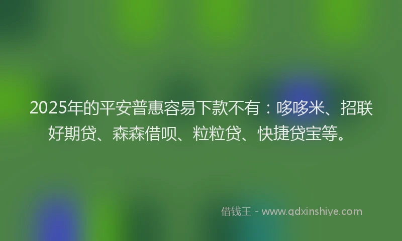 2025年的平安普惠容易下款不有：哆哆米、招联好期贷、森森借呗、粒粒贷、快捷贷宝等。