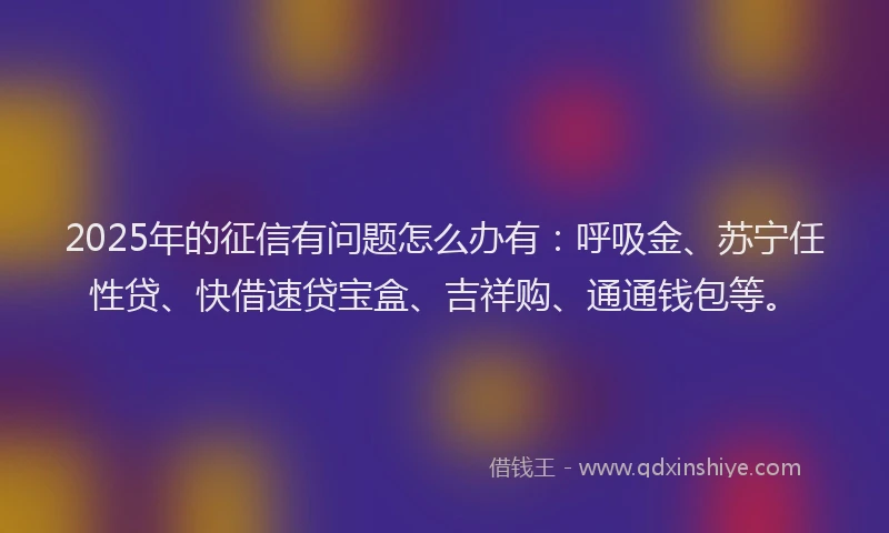 2025年的征信有问题怎么办有：呼吸金、苏宁任性贷、快借速贷宝盒、吉祥购、通通钱包等。