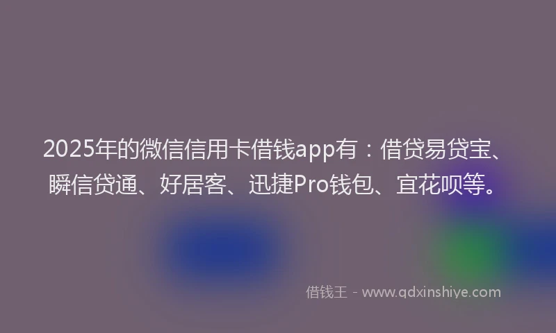 2025年的微信信用卡借钱app有：借贷易贷宝、瞬信贷通、好居客、迅捷Pro钱包、宜花呗等。