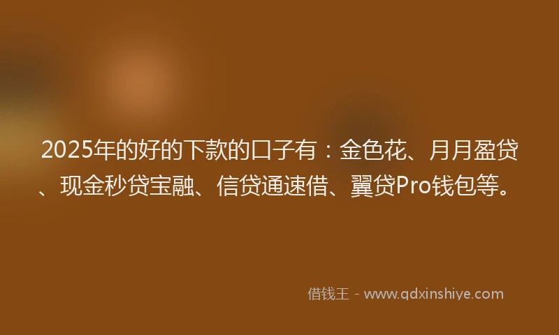 2025年的好的下款的口子有：金色花、月月盈贷、现金秒贷宝融、信贷通速借、翼贷Pro钱包等。