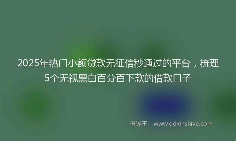 2025年热门小额贷款无征信秒通过的平台，梳理5个无视黑白百分百下款的借款口子