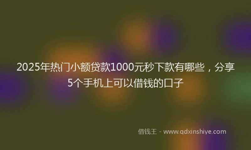 2025年热门小额贷款1000元秒下款有哪些，分享5个手机上可以借钱的口子