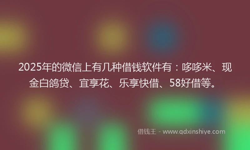 2025年的微信上有几种借钱软件有：哆哆米、现金白鸽贷、宜享花、乐享快借、58好借等。