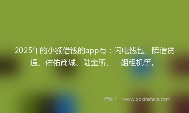 2025年的小额借钱的app有：闪电钱包、瞬信贷通、佑佑商城、陆金所、一姐租机等。