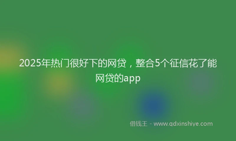 2025年热门很好下的网贷，整合5个征信花了能网贷的app