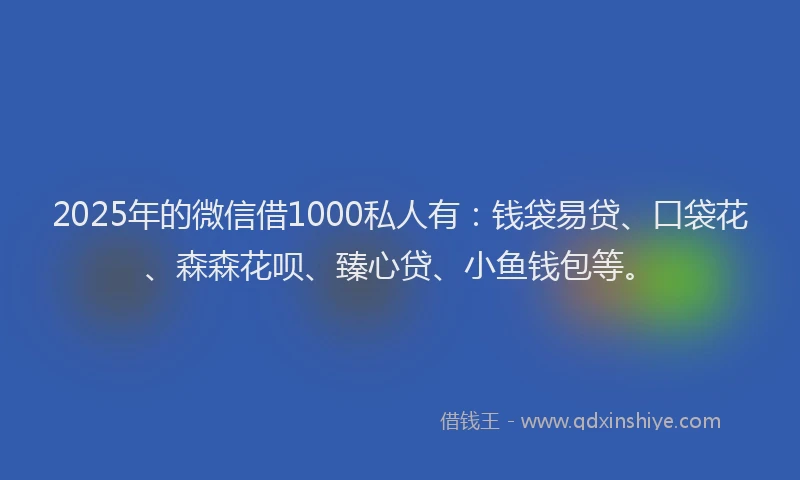 2025年的微信借1000私人有：钱袋易贷、口袋花、森森花呗、臻心贷、小鱼钱包等。