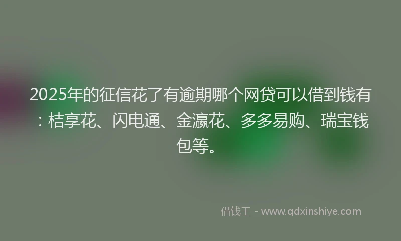 2025年的征信花了有逾期哪个网贷可以借到钱有：桔享花、闪电通、金瀛花、多多易购、瑞宝钱包等。