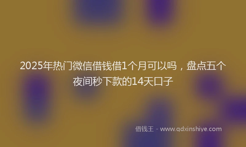2025年热门微信借钱借1个月可以吗，盘点五个夜间秒下款的14天口子
