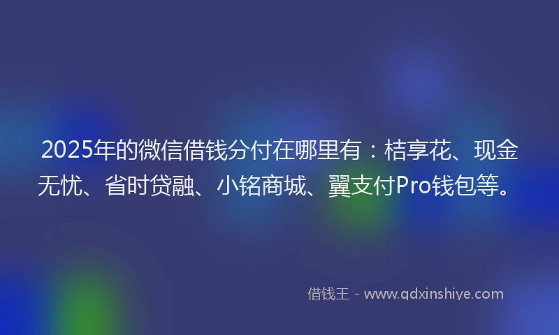 2025年的微信借钱分付在哪里有：桔享花、现金无忧、省时贷融、小铭商城、翼支付Pro钱包等。