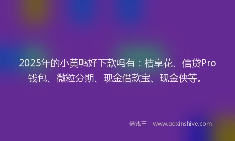 2025年的小黄鸭好下款吗有：桔享花、信贷Pro钱包、微粒分期、现金借款宝、现金侠等。