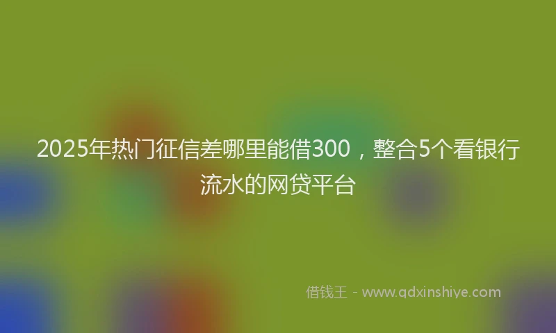2025年热门征信差哪里能借300，整合5个看银行流水的网贷平台
