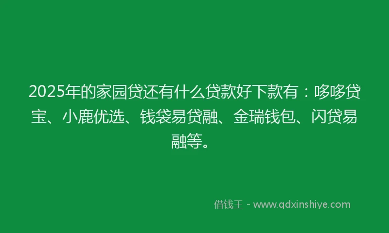 2025年的家园贷还有什么贷款好下款有：哆哆贷宝、小鹿优选、钱袋易贷融、金瑞钱包、闪贷易融等。