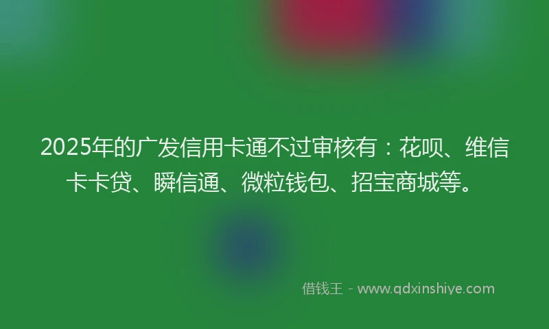 2025年的广发信用卡通不过审核有：花呗、维信卡卡贷、瞬信通、微粒钱包、招宝商城等。