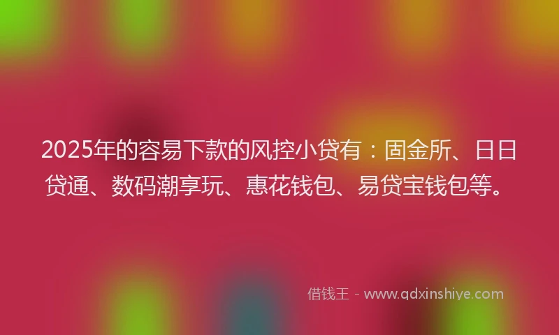 2025年的容易下款的风控小贷有：固金所、日日贷通、数码潮享玩、惠花钱包、易贷宝钱包等。
