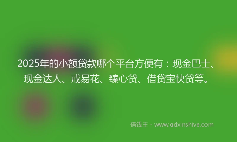2025年的小额贷款哪个平台方便有：现金巴士、现金达人、戒易花、臻心贷、借贷宝快贷等。