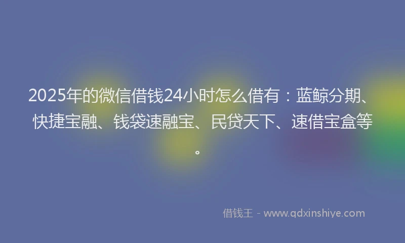 2025年的微信借钱24小时怎么借有：蓝鲸分期、快捷宝融、钱袋速融宝、民贷天下、速借宝盒等。