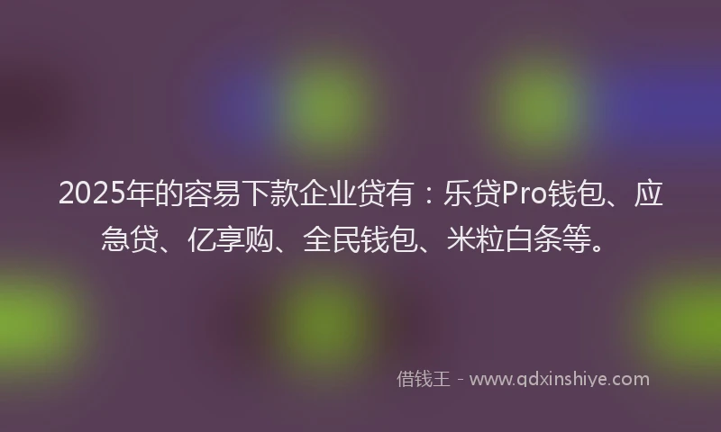 2025年的容易下款企业贷有：乐贷Pro钱包、应急贷、亿享购、全民钱包、米粒白条等。