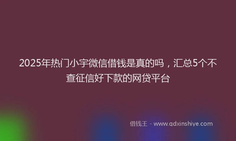 2025年热门小宇微信借钱是真的吗，汇总5个不查征信好下款的网贷平台