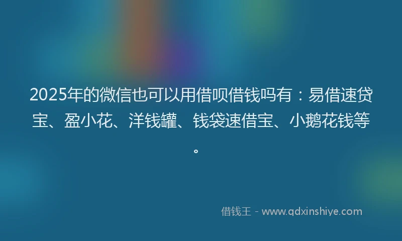 2025年的微信也可以用借呗借钱吗有：易借速贷宝、盈小花、洋钱罐、钱袋速借宝、小鹅花钱等。