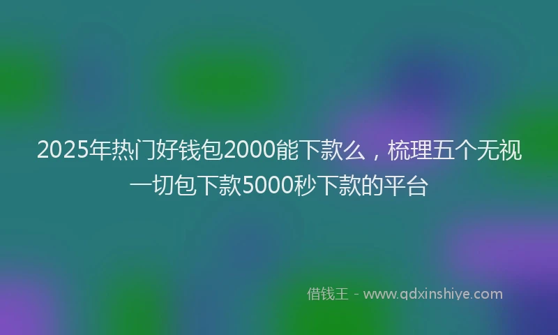 2025年热门好钱包2000能下款么，梳理五个无视一切包下款5000秒下款的平台