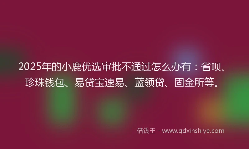 2025年的小鹿优选审批不通过怎么办有：省呗、珍珠钱包、易贷宝速易、蓝领贷、固金所等。