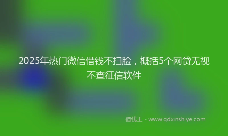 2025年热门微信借钱不扫脸，概括5个网贷无视不查征信软件