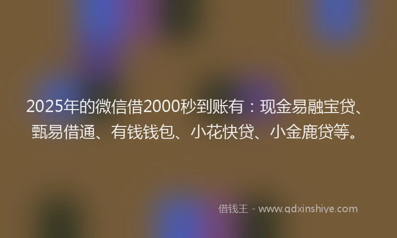 2025年的微信借2000秒到账有：现金易融宝贷、甄易借通、有钱钱包、小花快贷、小金鹿贷等。