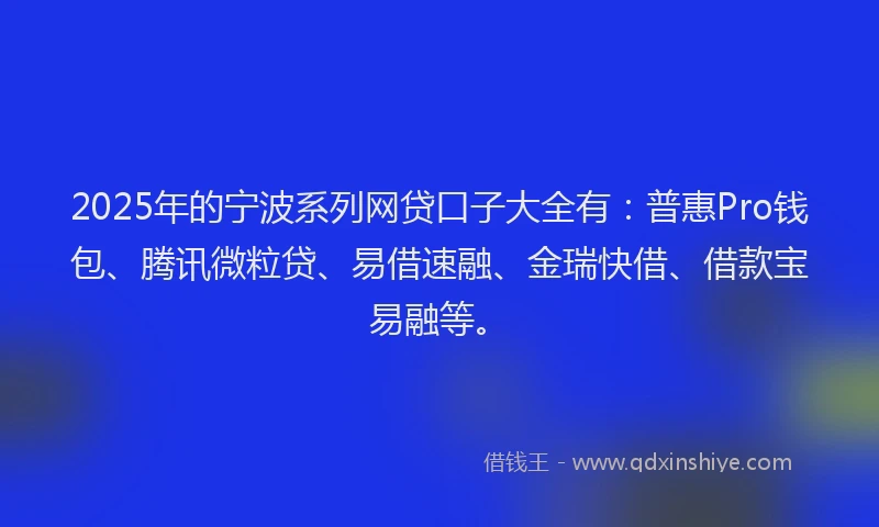 2025年的宁波系列网贷口子大全有：普惠Pro钱包、腾讯微粒贷、易借速融、金瑞快借、借款宝易融等。