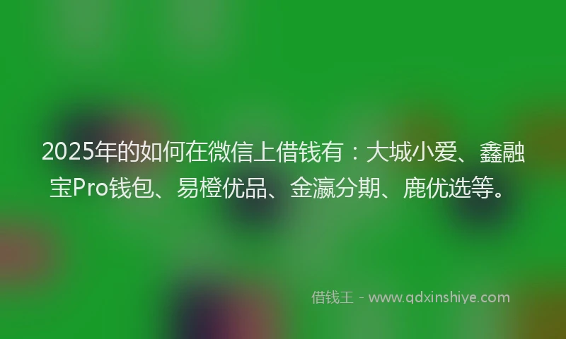 2025年的如何在微信上借钱有：大城小爱、鑫融宝Pro钱包、易橙优品、金瀛分期、鹿优选等。